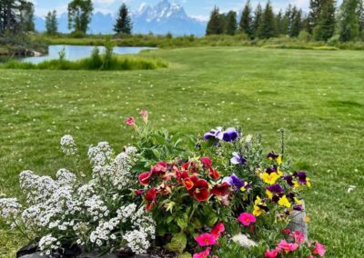 Summer 2025 Grand Tetons