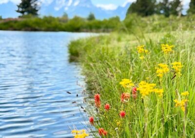 Summer 2025 Grand Tetons